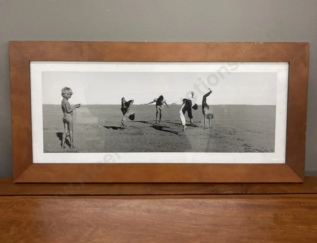Alistair R McNaughton 'Desert Acrobats. Australia' '91 Framed Photo Print. 31 x 64cm Image 1++